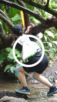 BIB:  <button type="button" onclick="openModal(27615479)" class="btn btn-primary btn-sm float-right" data-toggle="modal" data-target=".modal-high-quality">
                <i class="fa fa-download"></i> Download
                </button>